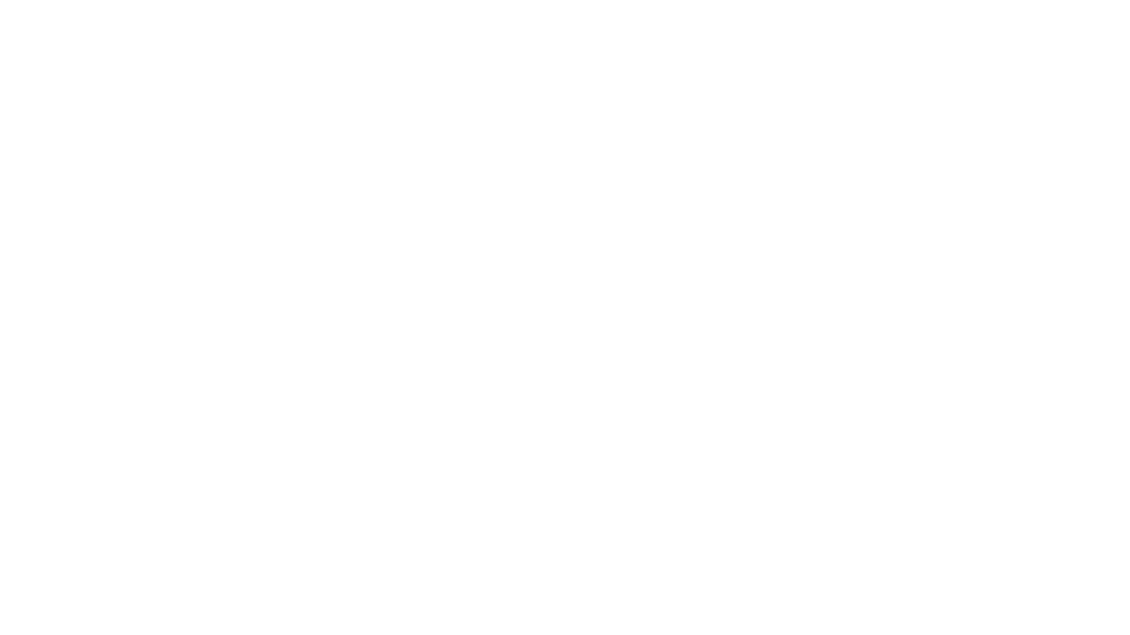 ssb logo white